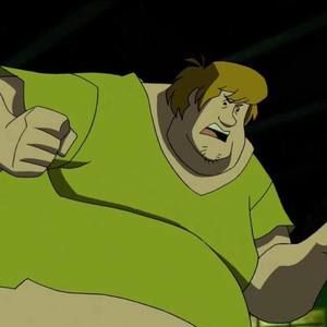 Meet your Posher, Luis